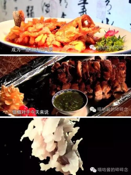 中国美食探秘_中国美食探秘 纪录片